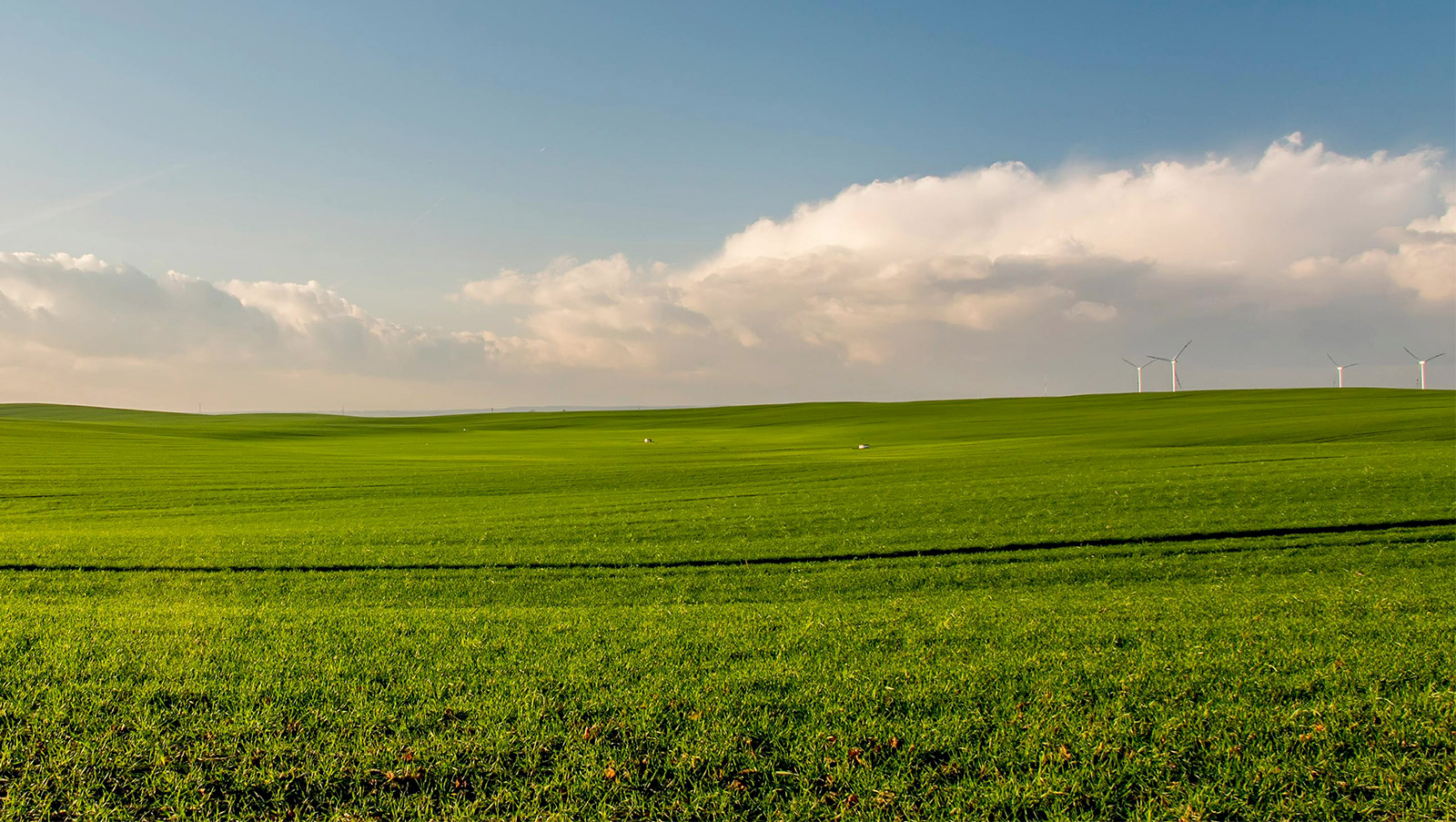Ambiente e territorio